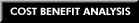 Cost Benefit Analysis